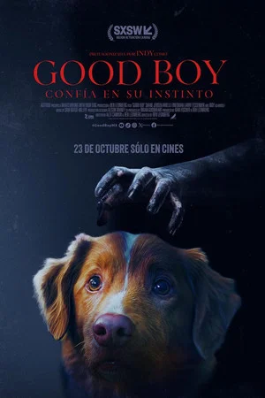 Buen Chico